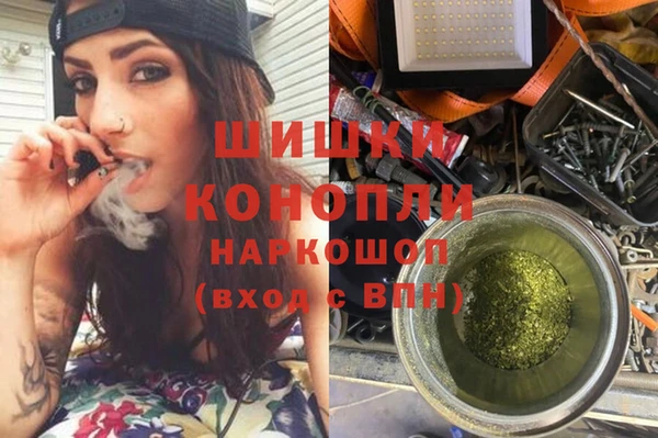 PSILOCYBIN Вязники