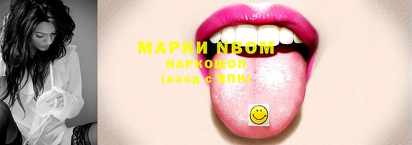 прущий лед Вяземский