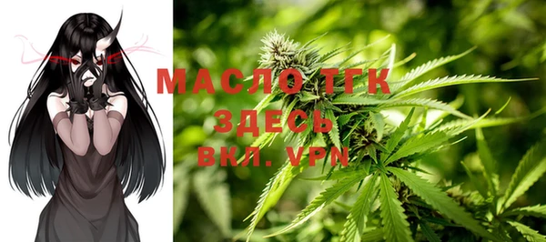 прущий лед Вяземский